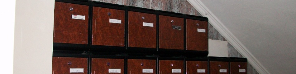 Imagen de sección